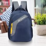 SBCOLLECTION Unisex Light Weight Laptop Bag for Day to Day Use Office Business College Lab 29 L Laptop Backpack(Blue, Grey)