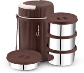 Trueware GRUB 4 Insulated Hot Lunch Box With 3 SS Container 300ML & 1 SS Container 200ML 4 Containers Lunch Box(1100 ml, Thermoware)