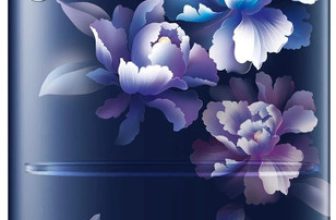 Samsung 183 L Direct Cool Single Door 5 Star Refrigerator with Base Drawer  with Digital Inverter(Himalaya Poppy Blue, RR20D2825HV/NL)