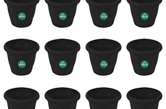 TrustBasket UV Treated Plastic Round Pot (6 Inches) -Black Color – Set of 12