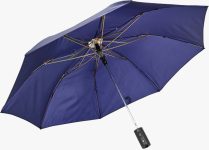 Flipkart SmartBuy 2 fold Auto Open Polyester Umbrella(Blue)