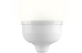 Bajaj Ivora High Wattage Led Lamp 30W | Cool Day Light | Energy Efficient | B22 Led Bulb for Home | (Pack of 1) | White | 1 Yr Warranty