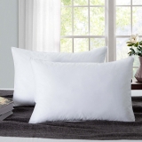 Flipkart SmartBuy 18043-2-16×24 Cotton Solid Sleeping Pillow Pack of 2(White)